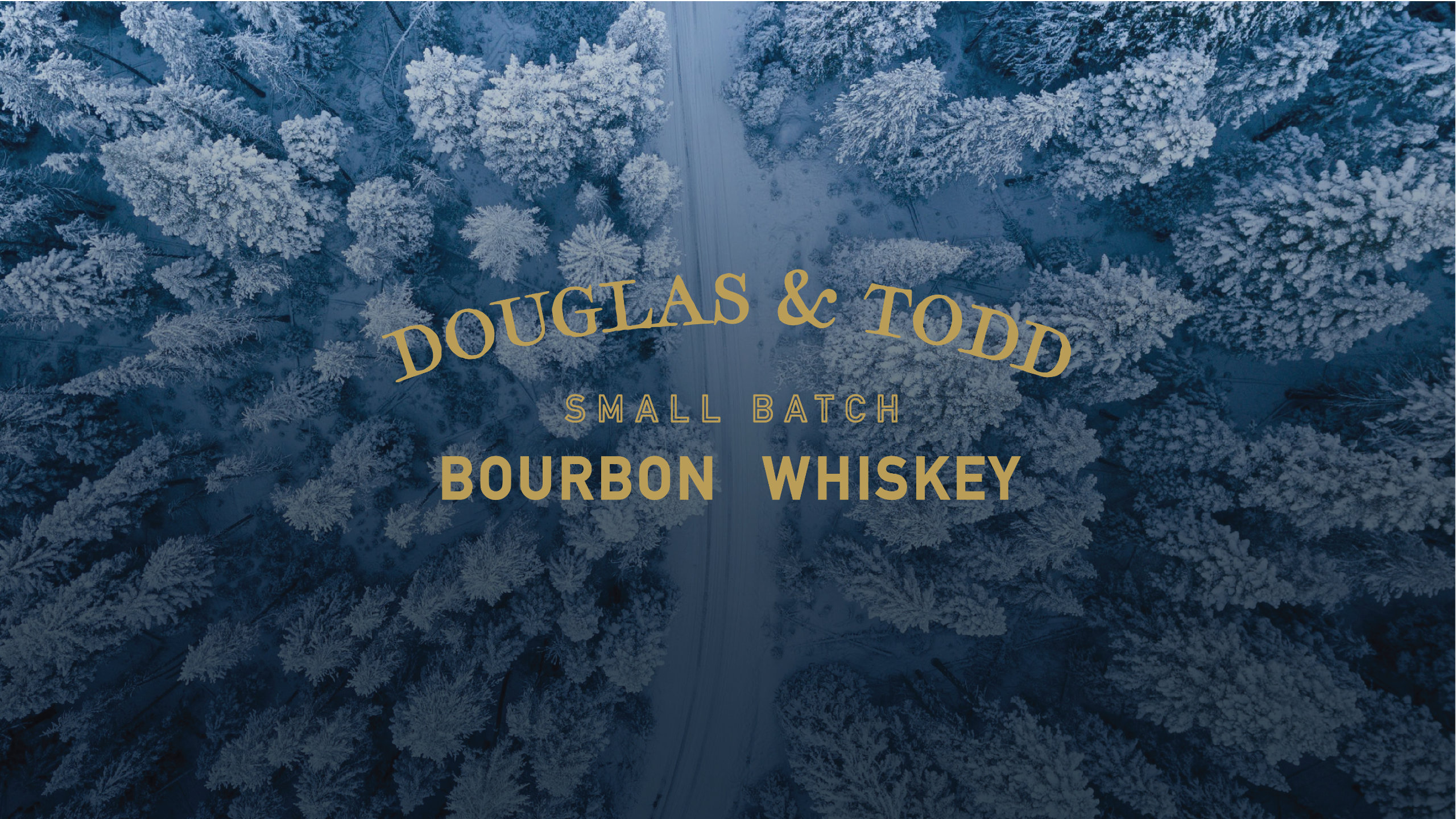 A bird-eye view of a road in a pine forest